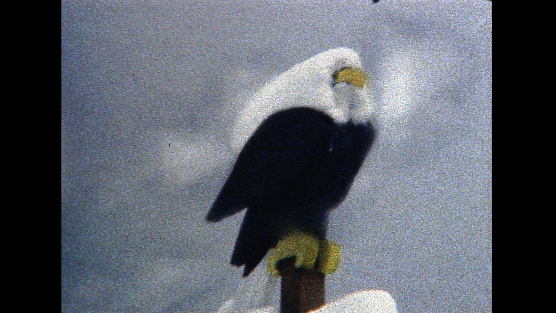 cropped-still